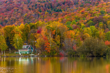 Fall Season Scenery