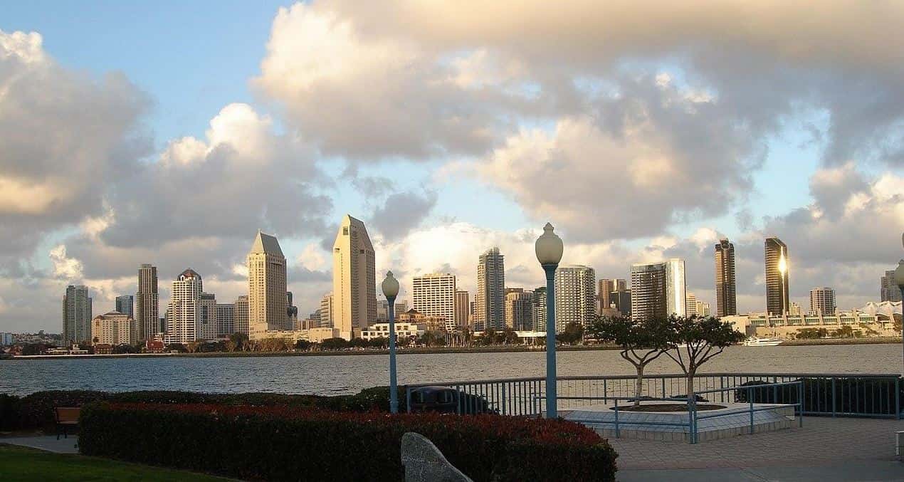 San Diego city view from a park