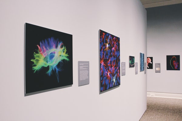Tampa Museum of Art