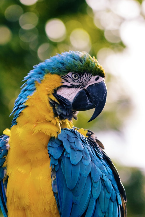 ZooTampa at Lowry Park
