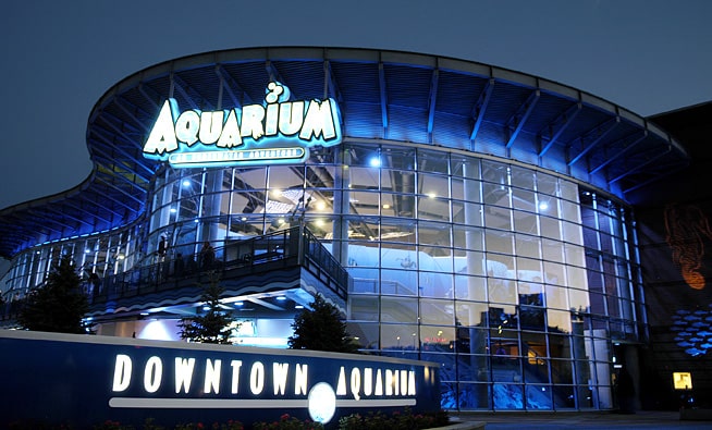 Denver the highlands denver aquarium
