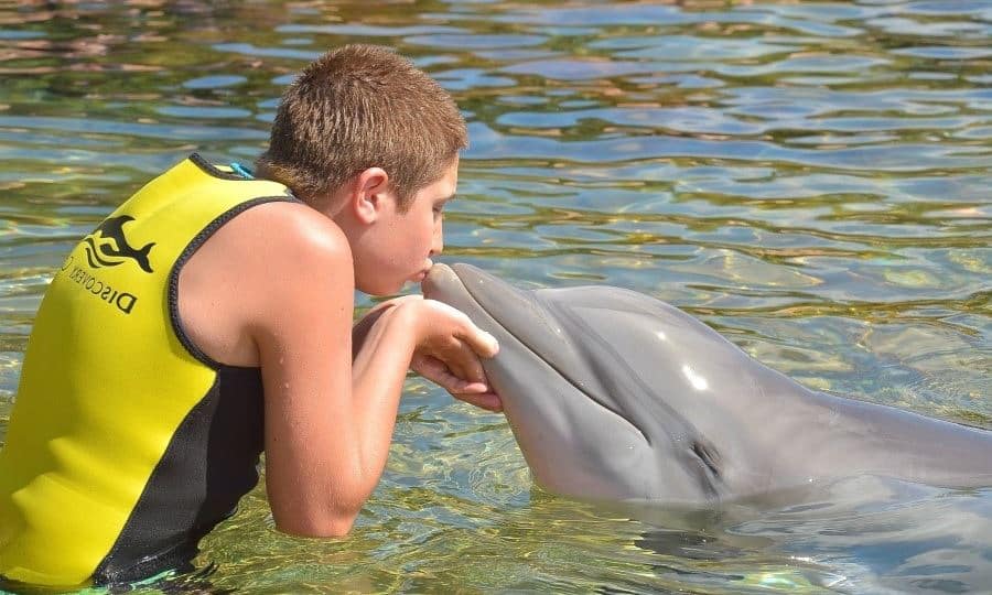 Boy kissing a dolphin