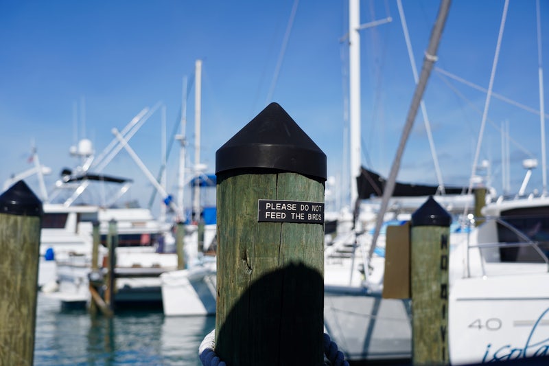 Berkeley Marina