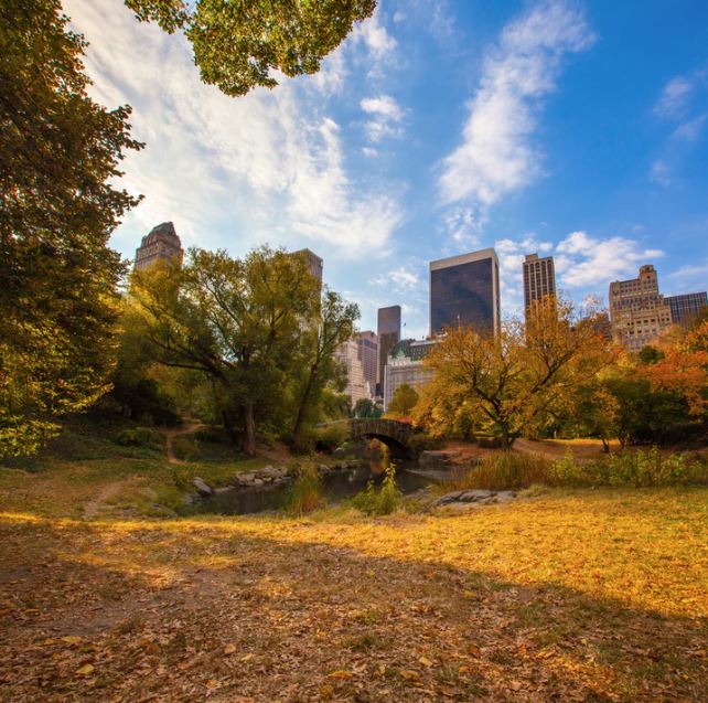 Connecticut Avenue Overlook Park (2)