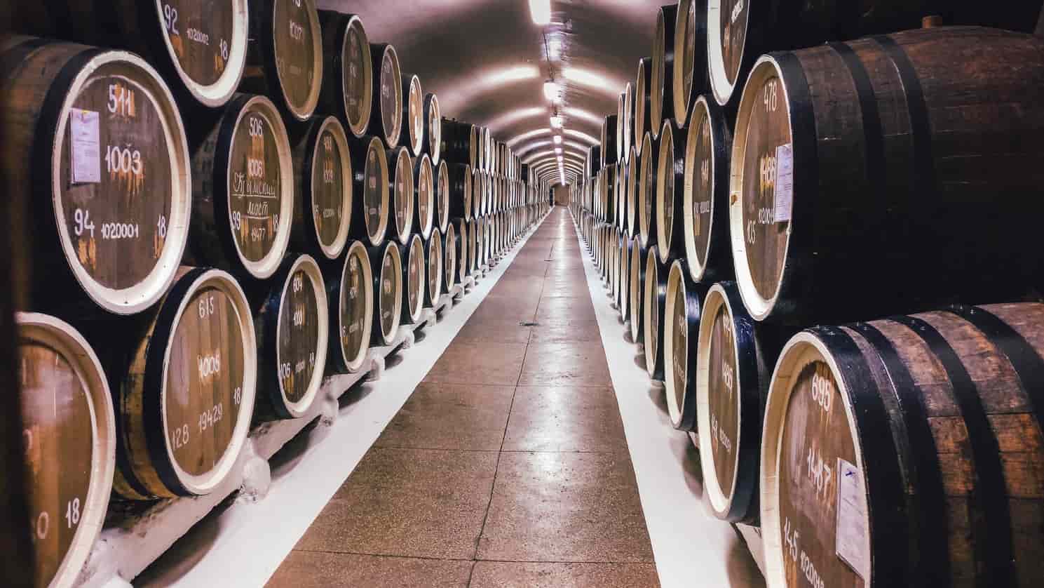City Winery