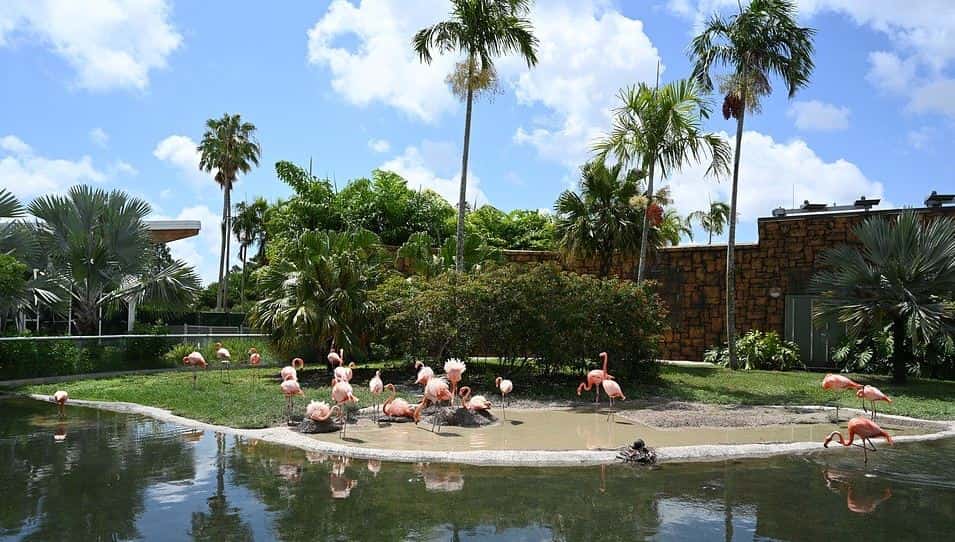 Family staycation idea at Zoo Miami
