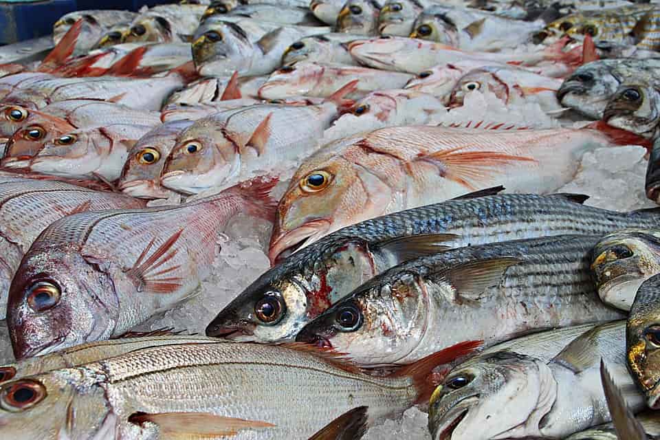 Fulton Fish Market