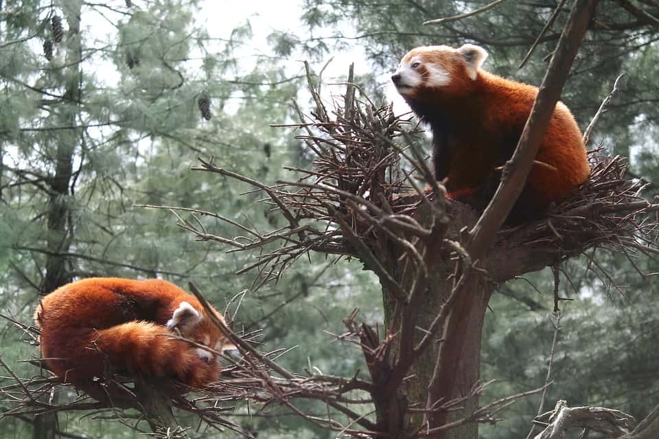 Central Park Zoo