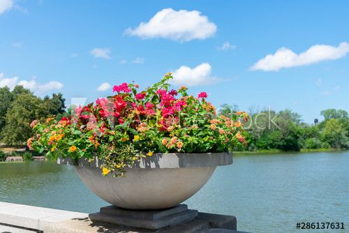 humboldt park lagoon
