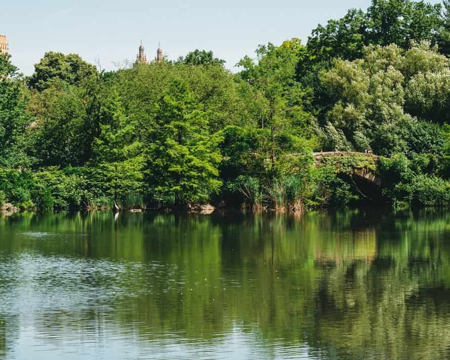 lagoon