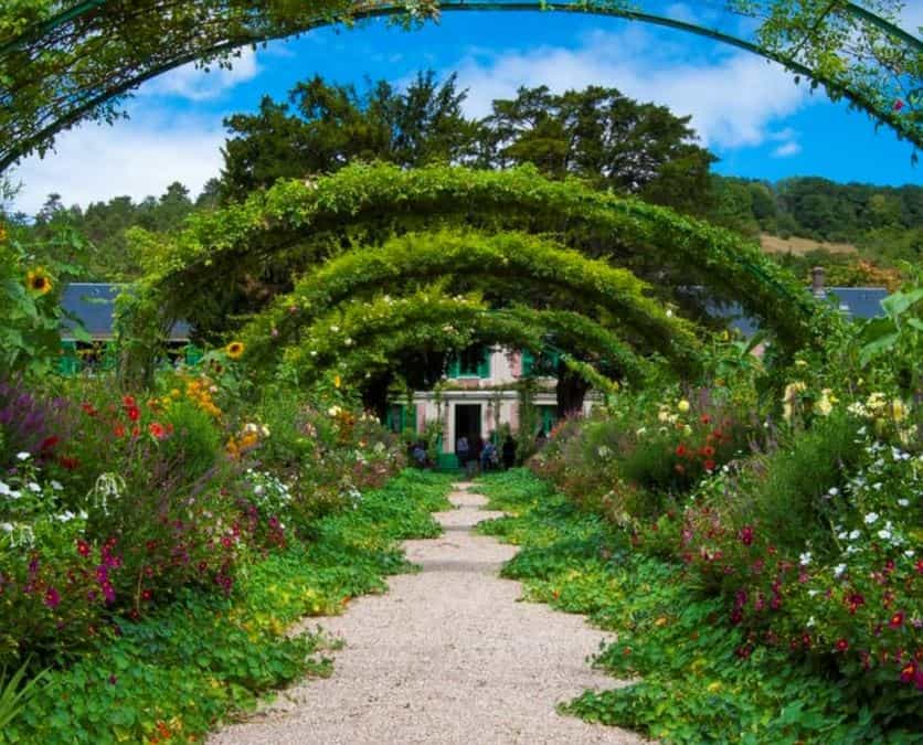 garden with flowers
