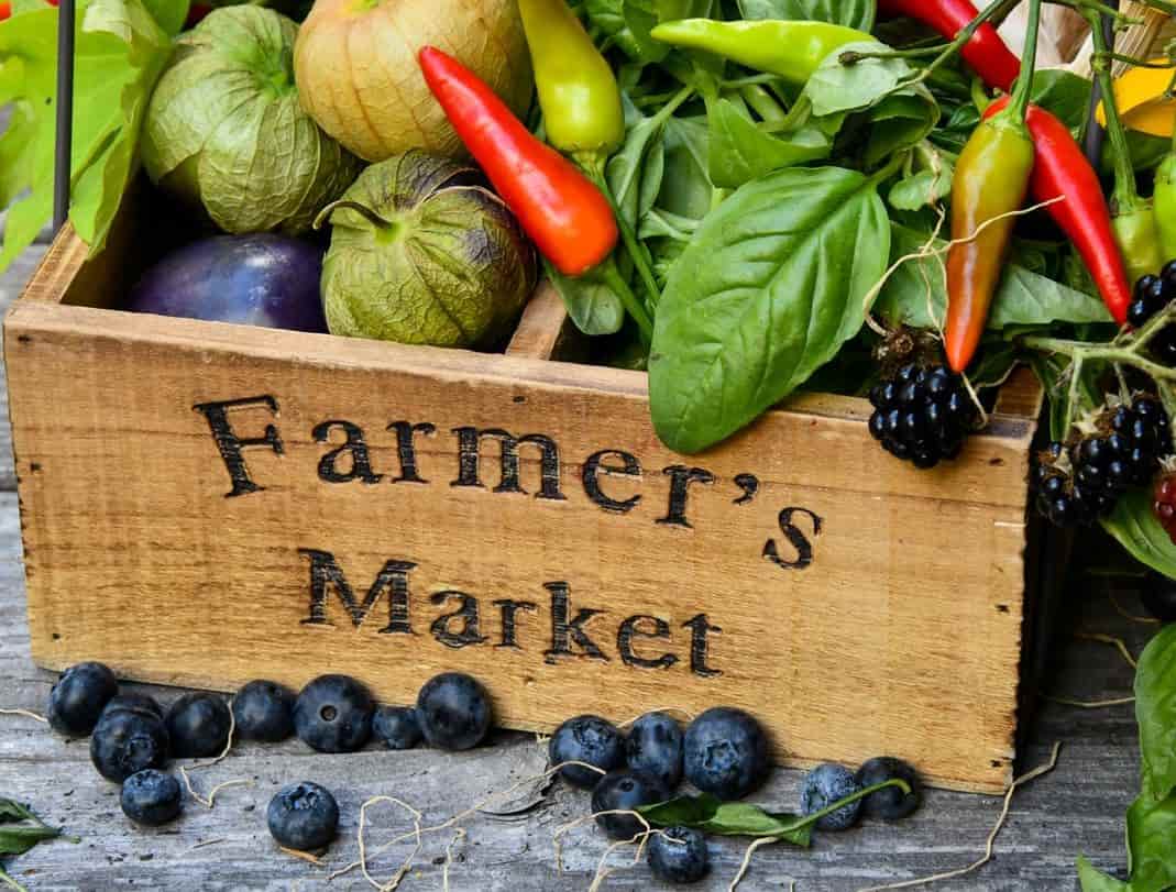 farmer market basket
